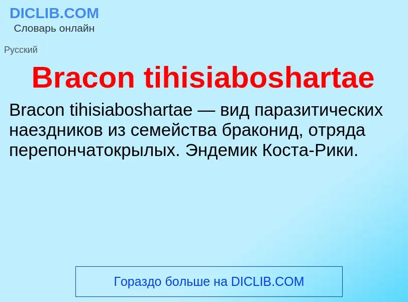 Was ist Bracon tihisiaboshartae - Definition