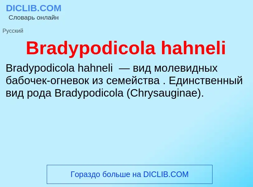 What is Bradypodicola hahneli - meaning and definition