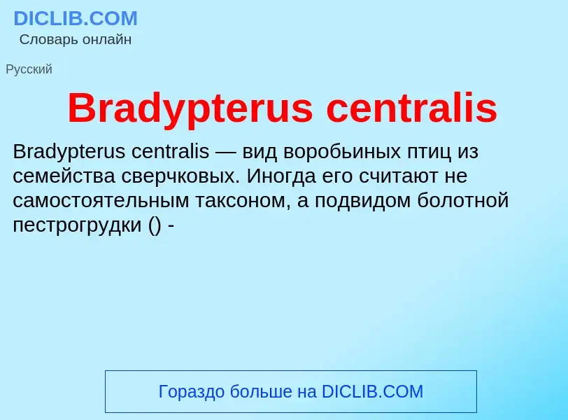 Was ist Bradypterus centralis - Definition