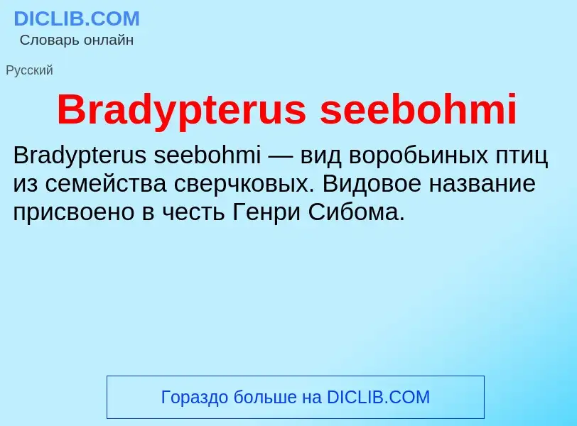 Was ist Bradypterus seebohmi - Definition