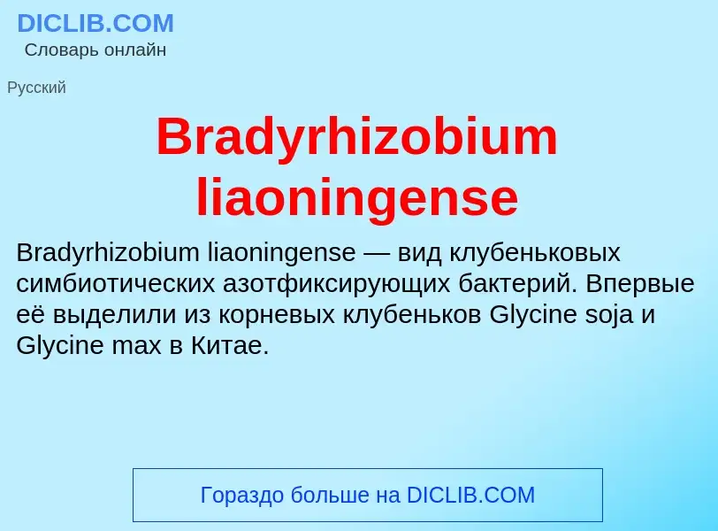 ¿Qué es Bradyrhizobium liaoningense? - significado y definición