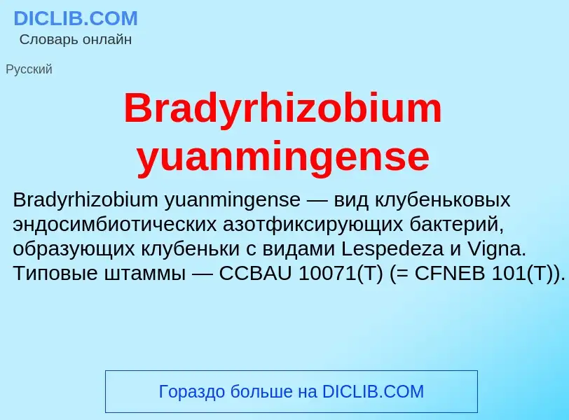 ¿Qué es Bradyrhizobium yuanmingense? - significado y definición