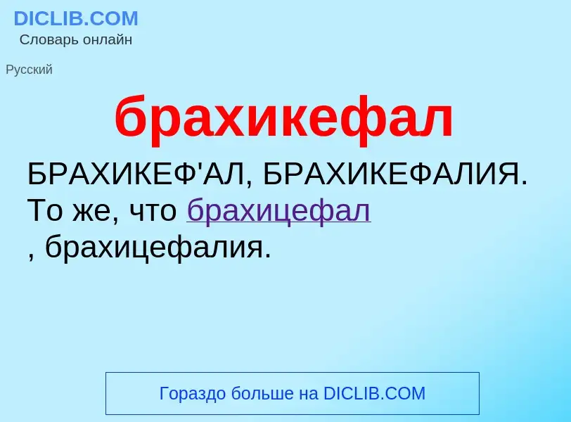 What is брахикефал - definition