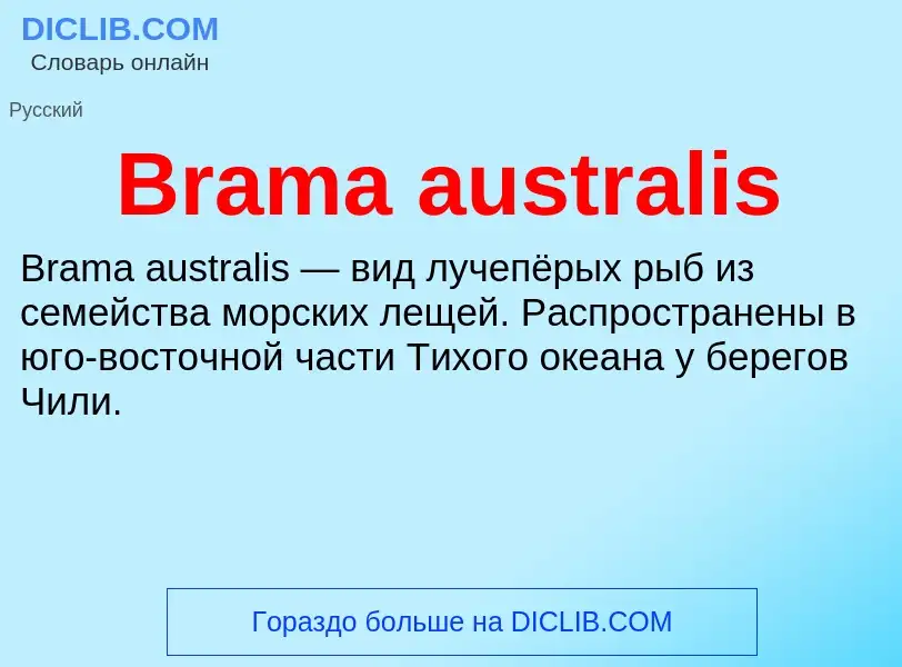 ¿Qué es Brama australis? - significado y definición