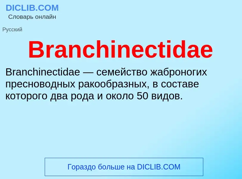 ¿Qué es Branchinectidae? - significado y definición