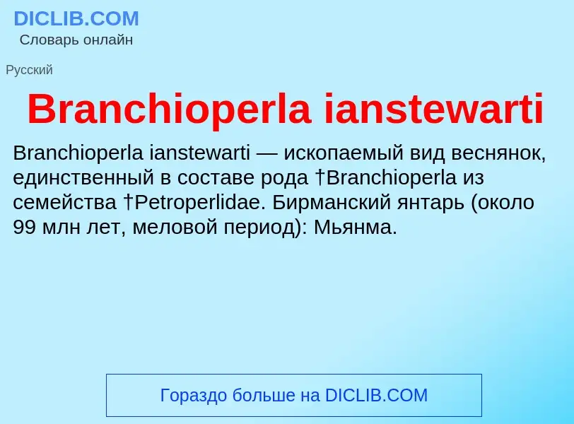 Was ist Branchioperla ianstewarti - Definition