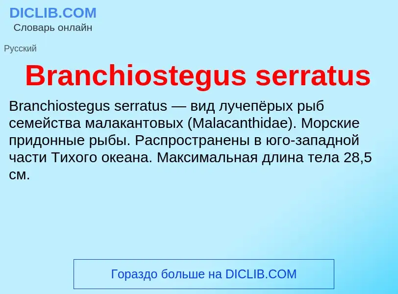 ¿Qué es Branchiostegus serratus? - significado y definición