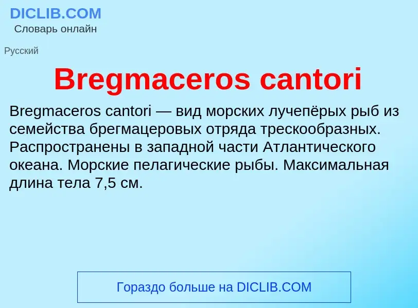 Что такое Bregmaceros cantori - определение