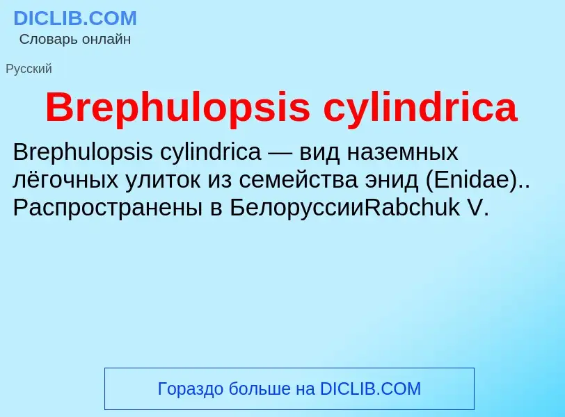 ¿Qué es Brephulopsis cylindrica? - significado y definición