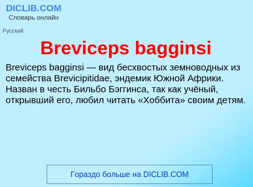 What is Breviceps bagginsi - meaning and definition