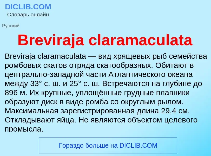 What is Breviraja claramaculata - meaning and definition