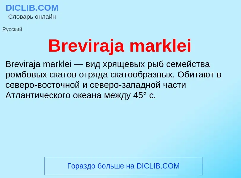 ¿Qué es Breviraja marklei? - significado y definición