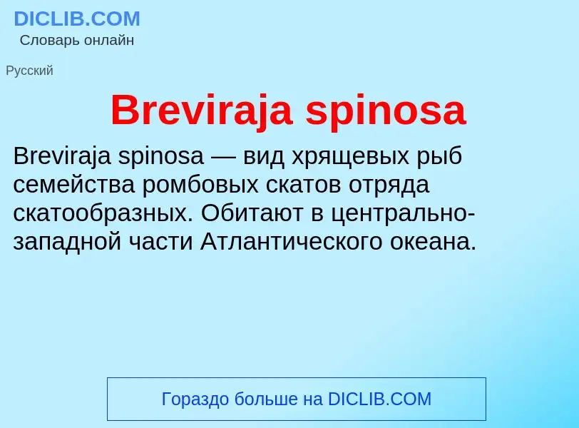 Was ist Breviraja spinosa - Definition