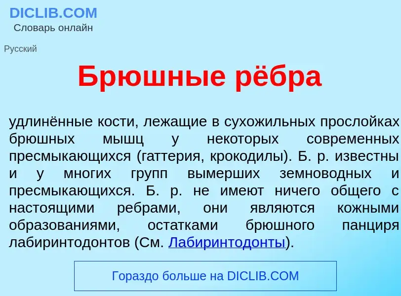 Что такое Брюшн<font color="red">ы</font>е рёбра - определение