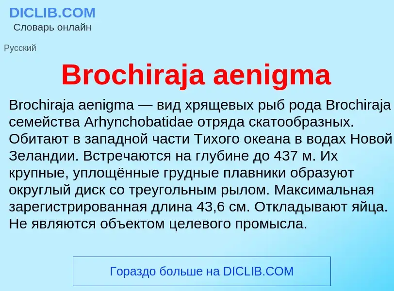 ¿Qué es Brochiraja aenigma? - significado y definición