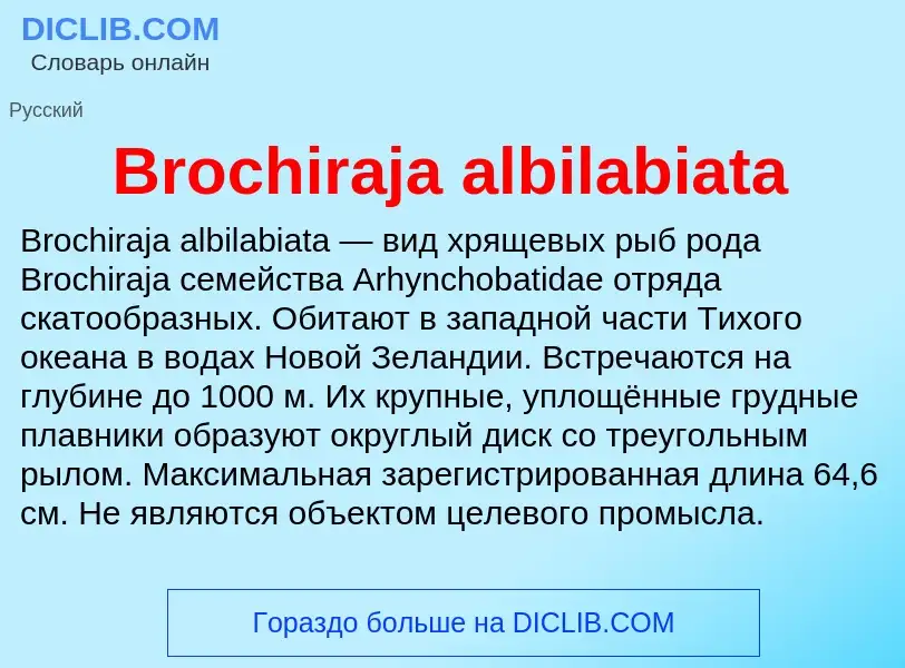 ¿Qué es Brochiraja albilabiata? - significado y definición