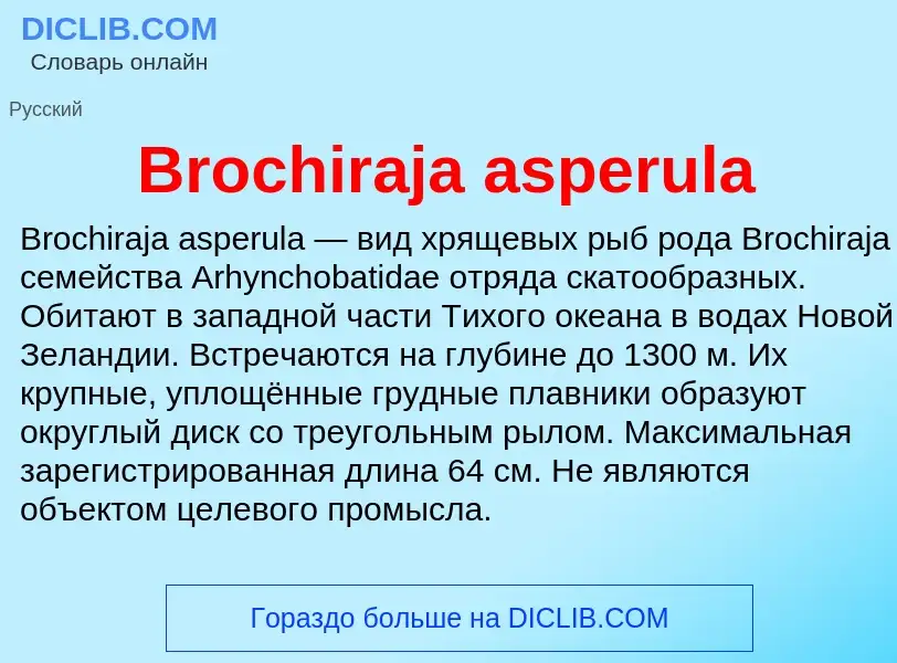 ¿Qué es Brochiraja asperula? - significado y definición