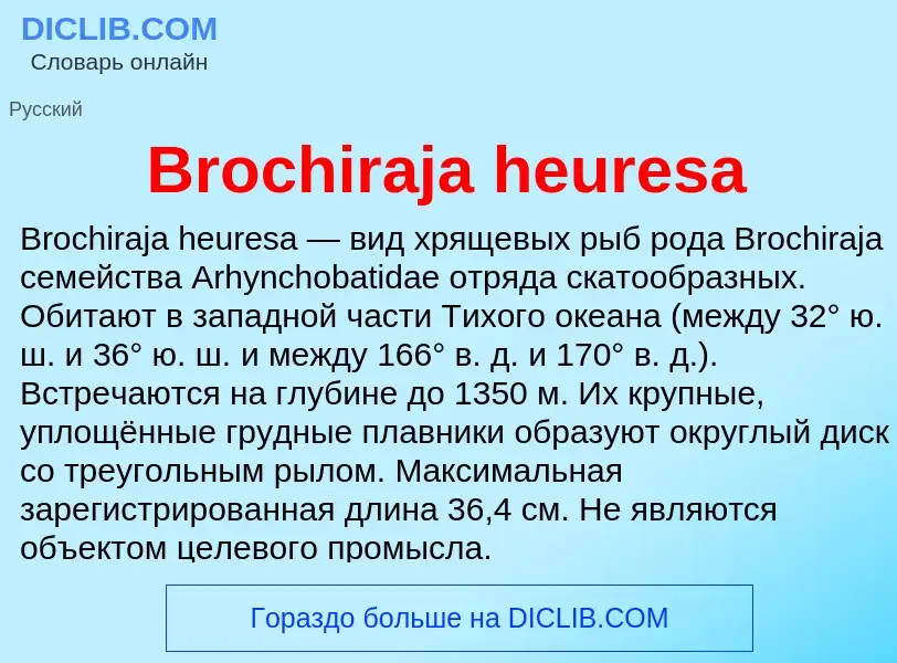 ¿Qué es Brochiraja heuresa? - significado y definición