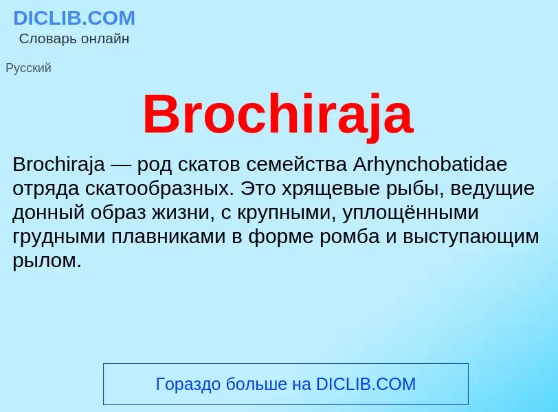 Τι είναι Brochiraja - ορισμός