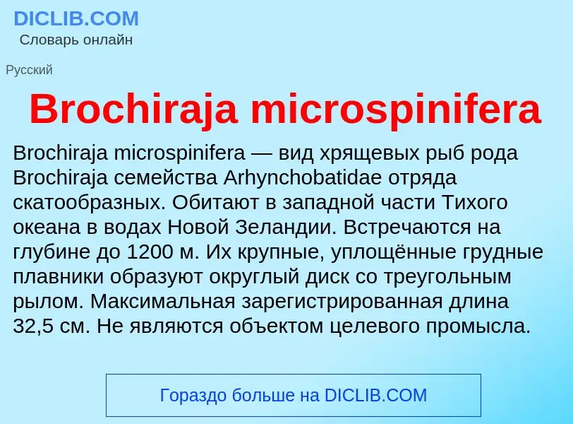 ¿Qué es Brochiraja microspinifera? - significado y definición