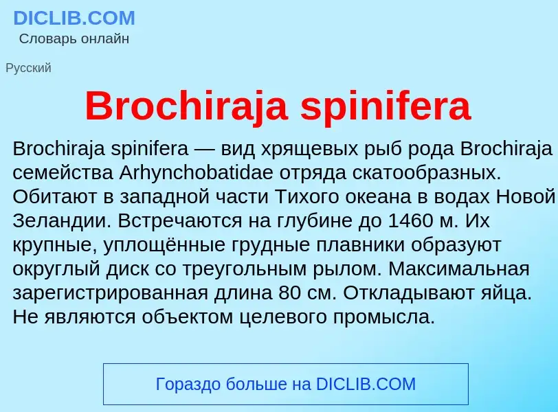 Τι είναι Brochiraja spinifera - ορισμός