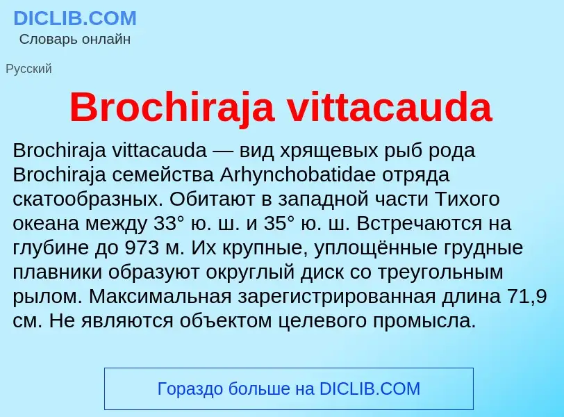 Τι είναι Brochiraja vittacauda - ορισμός