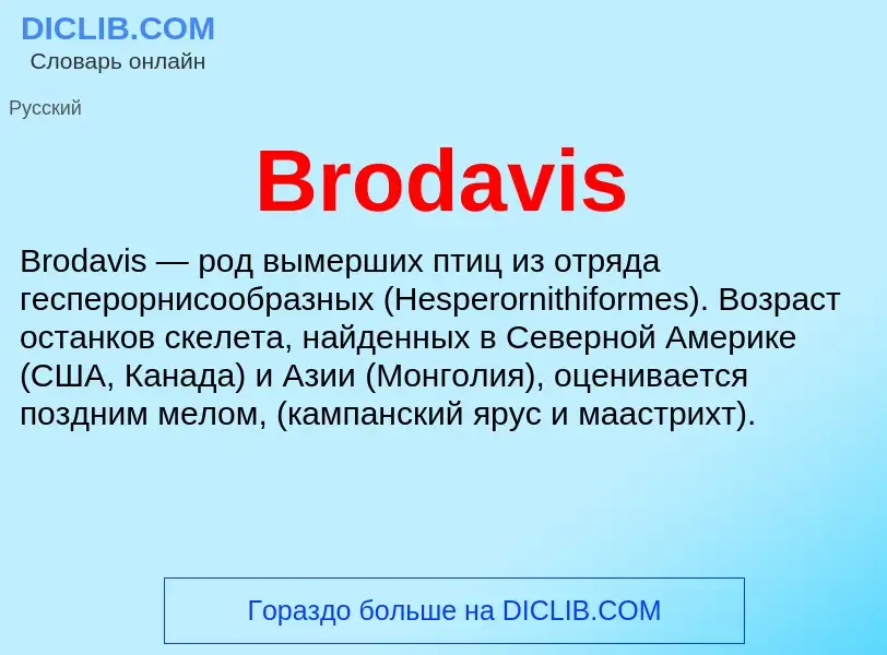 Τι είναι Brodavis - ορισμός