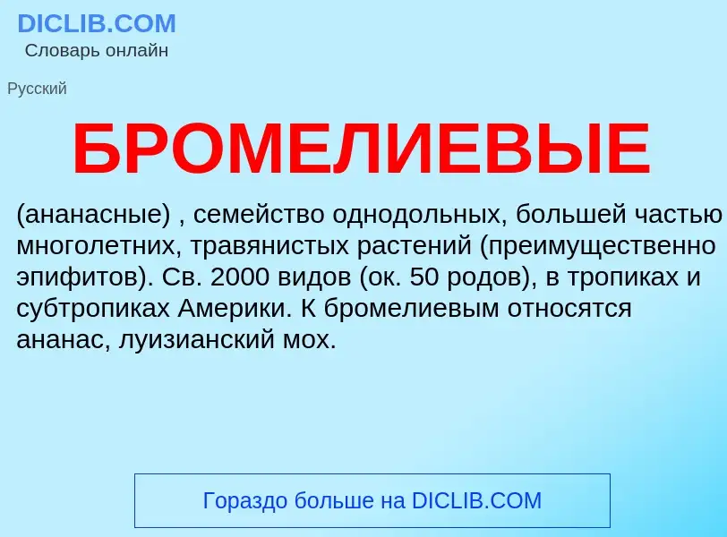 What is БРОМЕЛИЕВЫЕ - definition