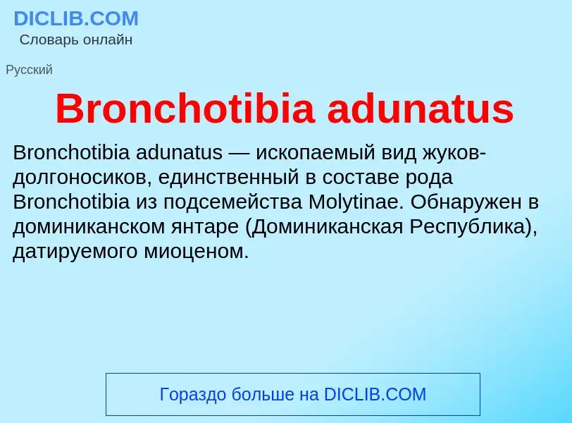 ¿Qué es Bronchotibia adunatus? - significado y definición