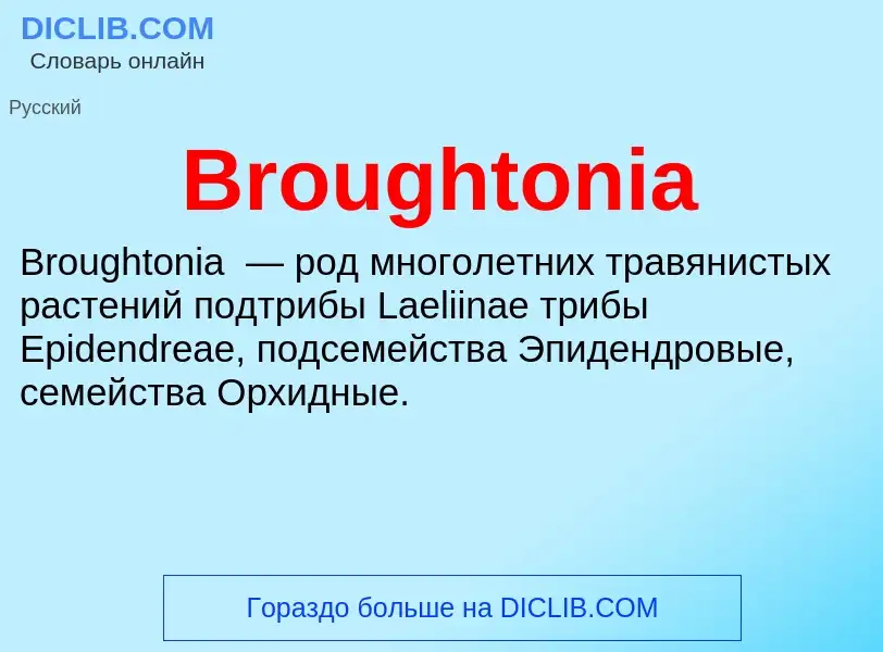 What is Broughtonia - meaning and definition