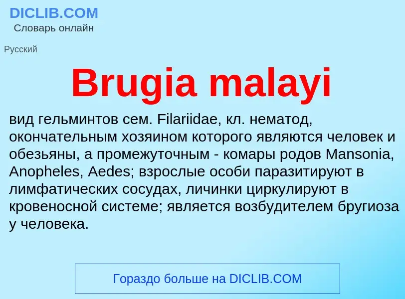 Τι είναι Brugia malayi - ορισμός