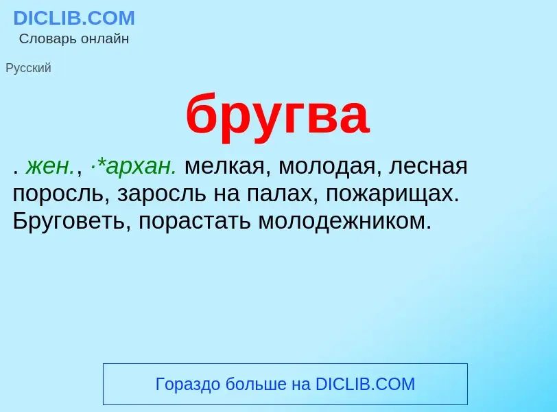 Was ist бругва - Definition