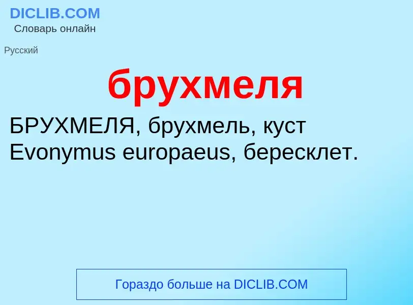 Was ist брухмеля - Definition