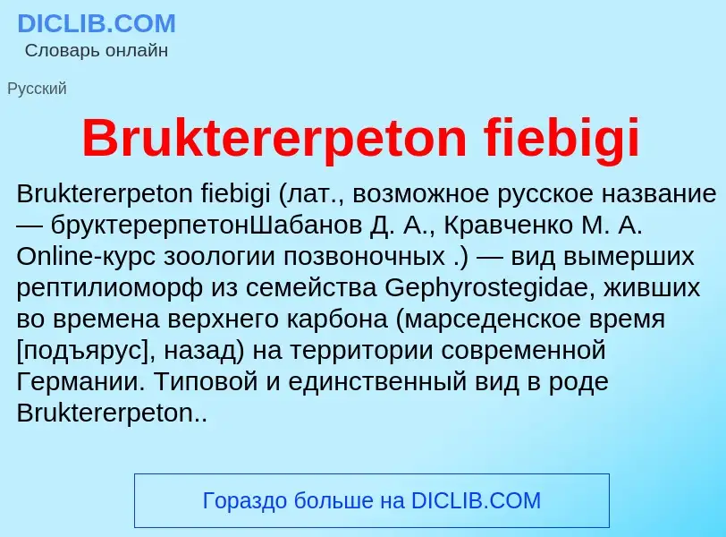 Τι είναι Bruktererpeton fiebigi - ορισμός