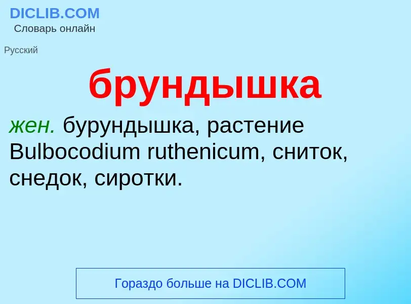 Was ist брундышка - Definition