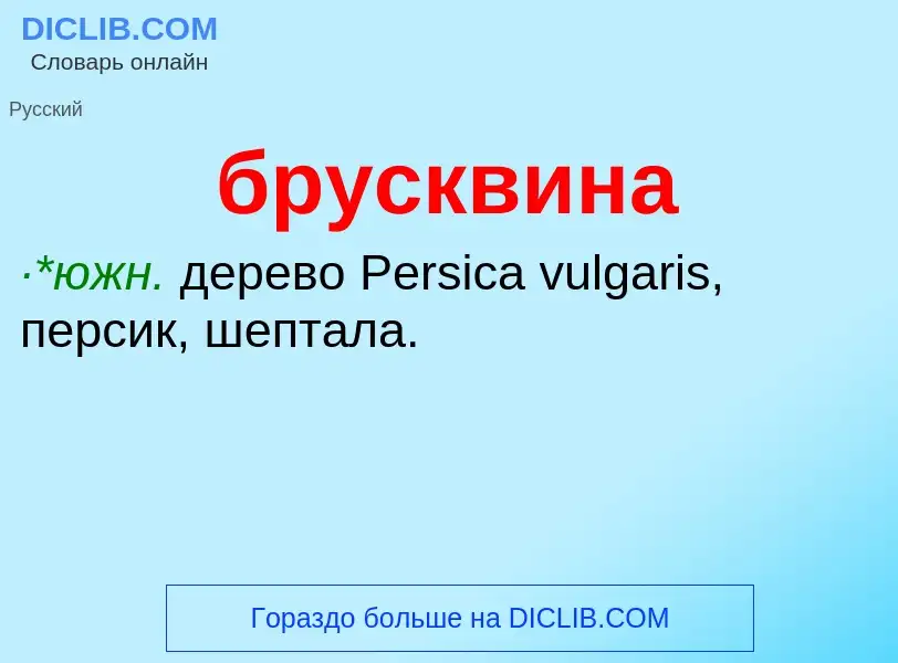 Was ist брусквина - Definition