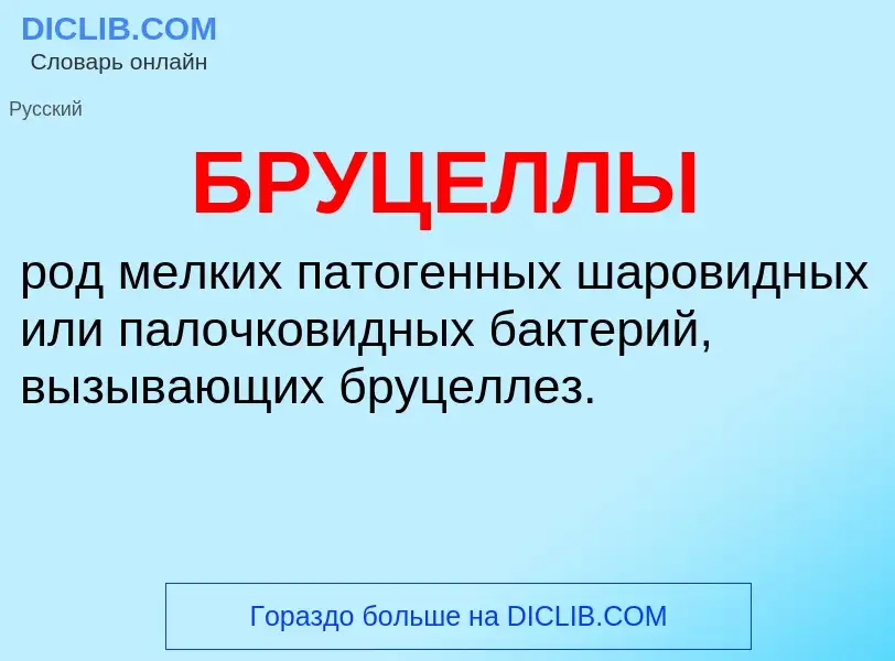 O que é БРУЦЕЛЛЫ - definição, significado, conceito