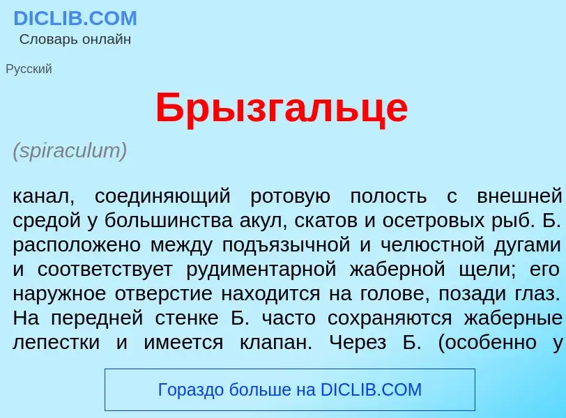 Was ist Бр<font color="red">ы</font>згальце - Definition