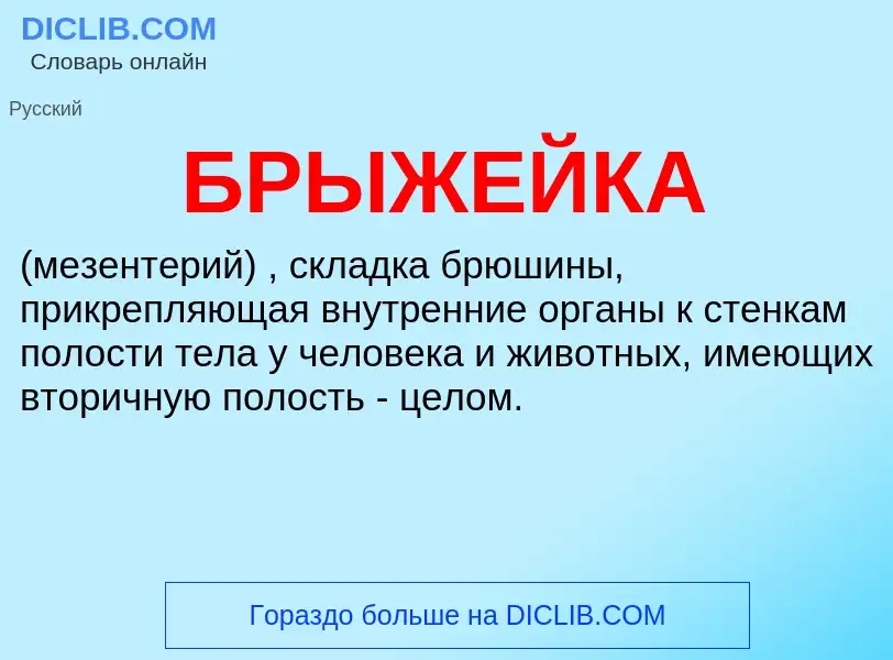 What is БРЫЖЕЙКА - definition