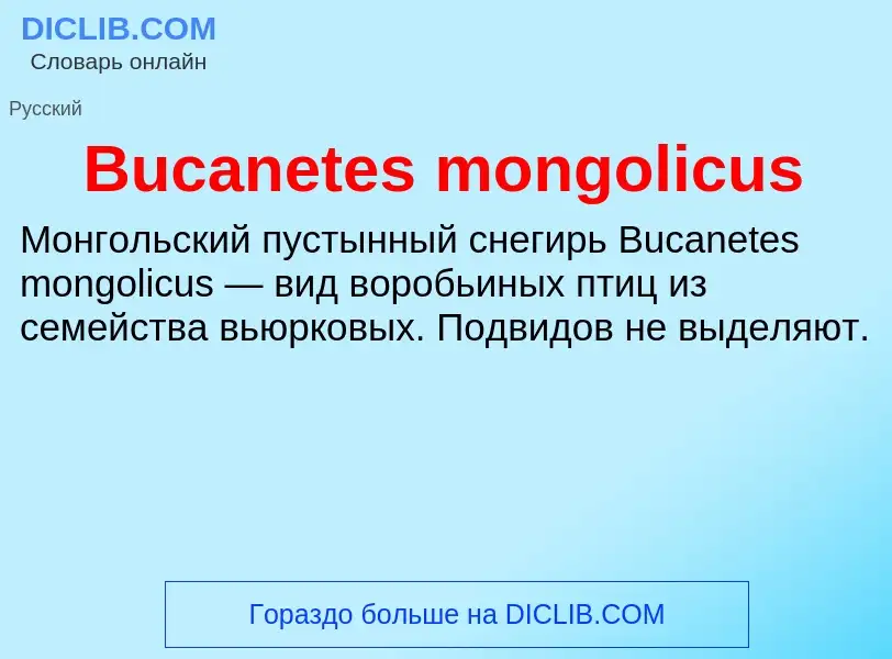 Τι είναι Bucanetes mongolicus - ορισμός