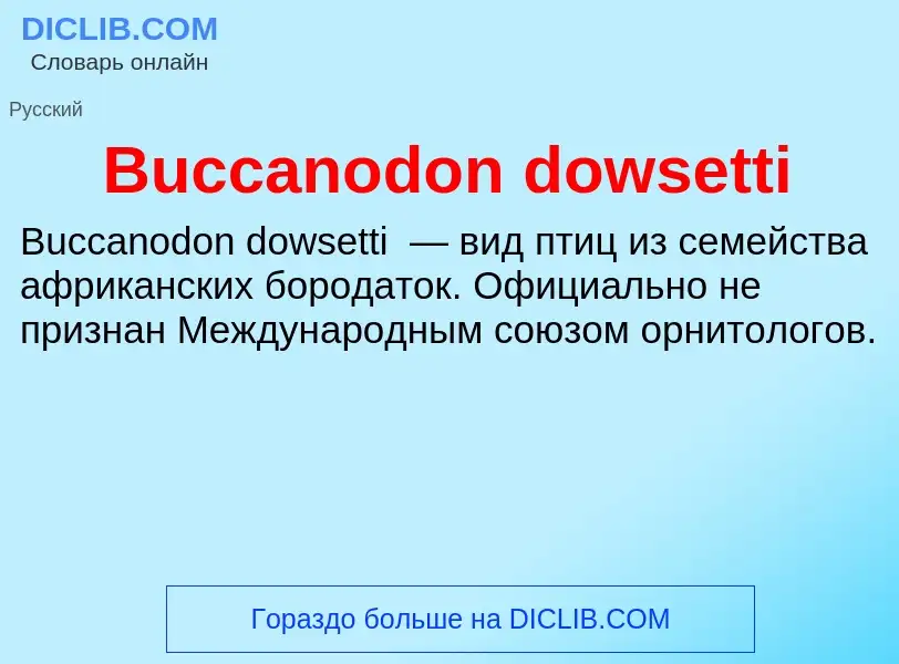 Что такое Buccanodon dowsetti - определение