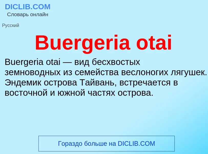 Что такое Buergeria otai - определение