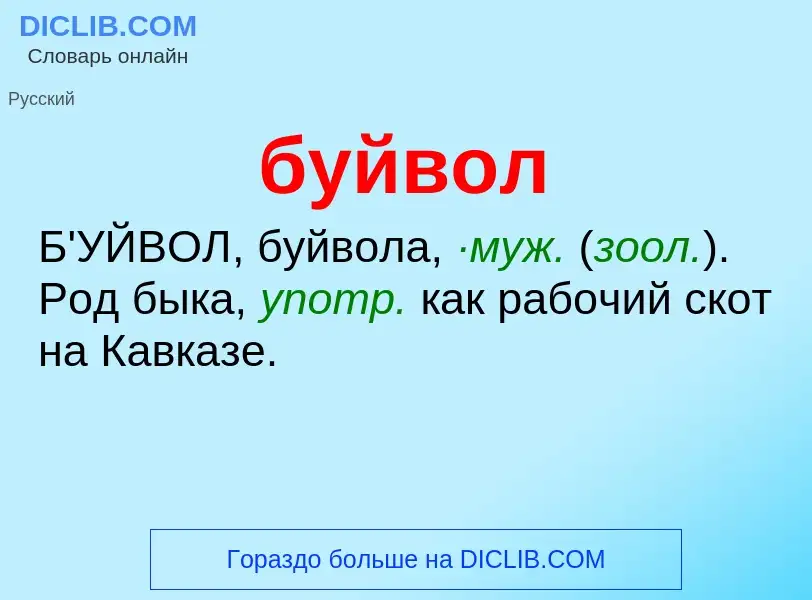 Что такое буйвол - определение