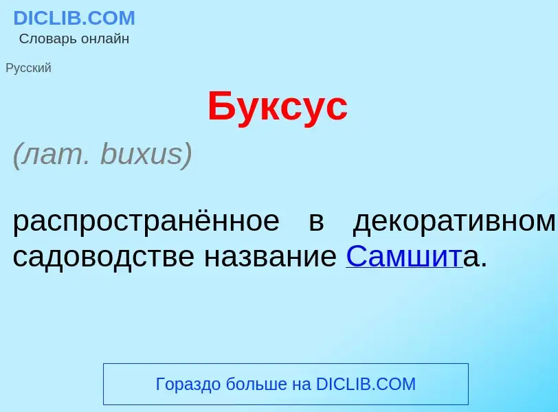 Was ist Б<font color="red">у</font>ксус - Definition