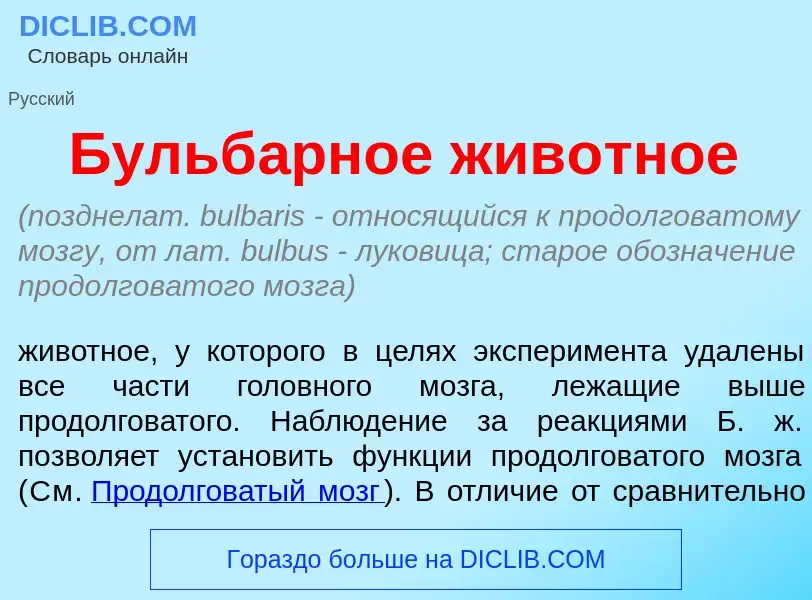 Was ist Бульб<font color="red">а</font>рное жив<font color="red">о</font>тное - Definition