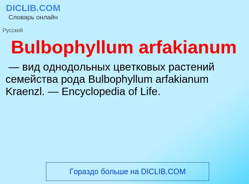 Что такое Bulbophyllum arfakianum - определение