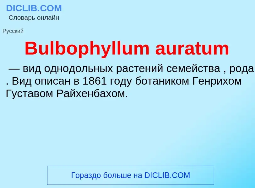 Что такое Bulbophyllum auratum - определение