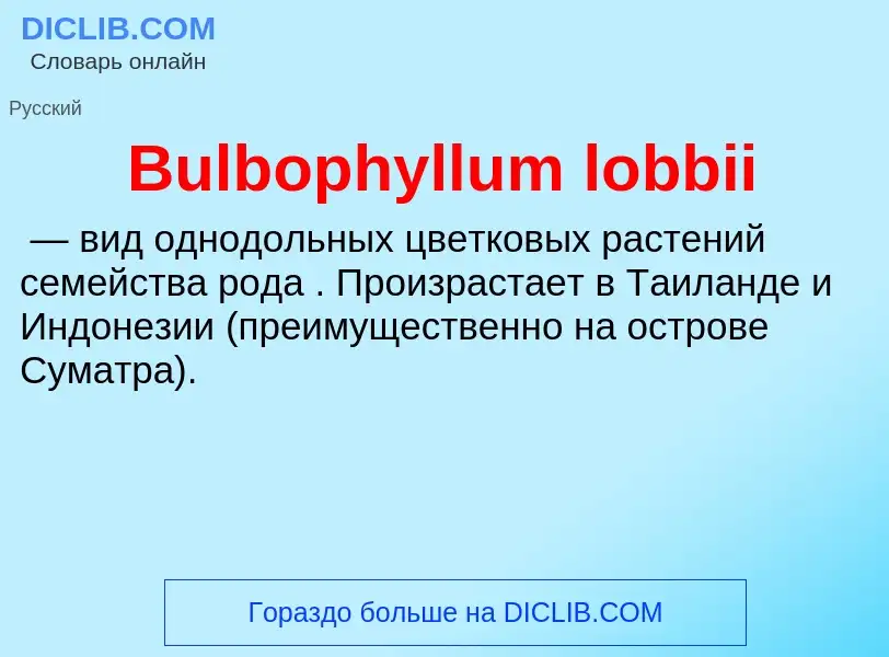 Что такое Bulbophyllum lobbii - определение