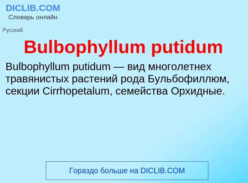 Что такое Bulbophyllum putidum - определение