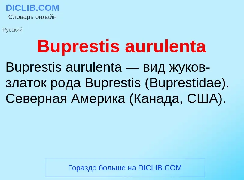 Что такое Buprestis aurulenta - определение